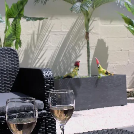L'Escale Tropicale, Appartement Independant Avec Terrasse Privative Saint-Quentin  Buitenkant foto