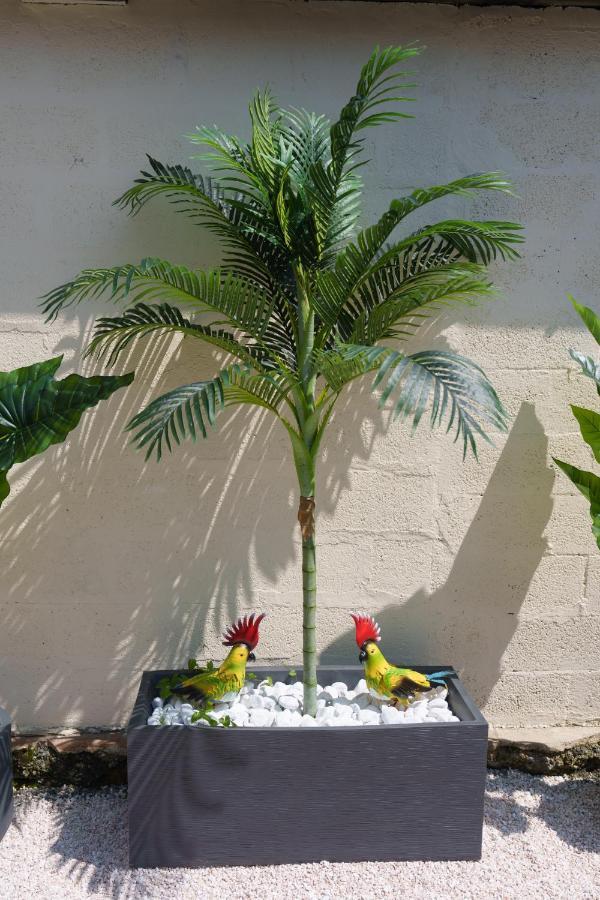 L'escale Tropicale, Independant Avec Terrasse Privative * Saint-Quentin (Aisne)